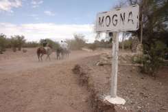 Descripción: http://www.diariodecuyo.com.ar/imagenes/2008/12/SANJUAN/03204048ch.jpg