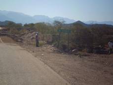 Descripción: K:\DCIM\chañarmuyo\P5042878.JPG